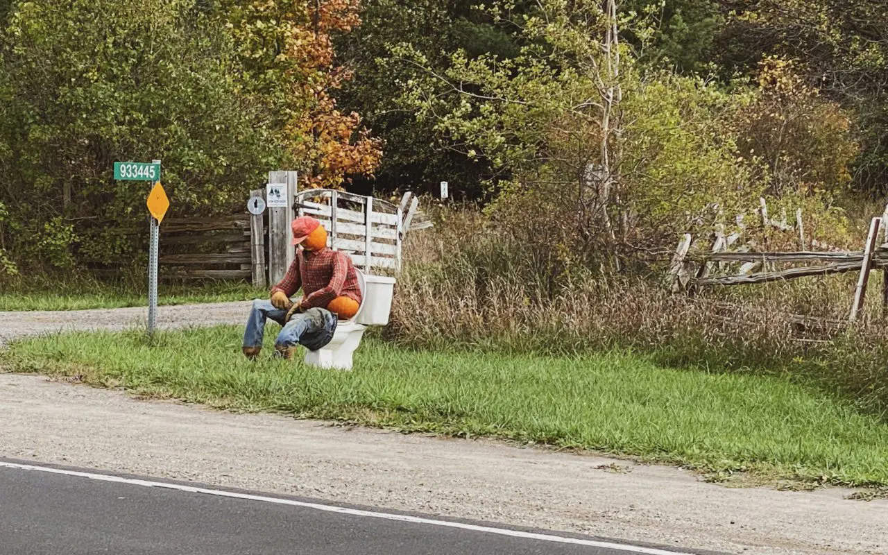 scarecrow made from pumpkins sitting on a toilet on the side of the road