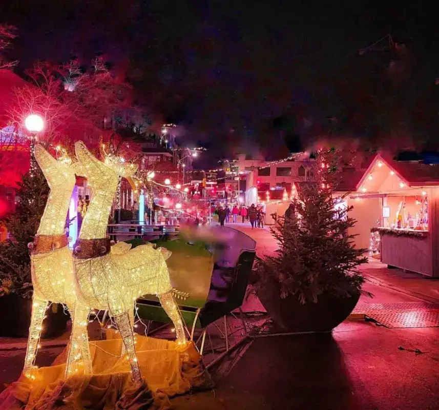 outdoor holiday display with 2 light-up reindeer and a sleigh | christmas markets in ontario