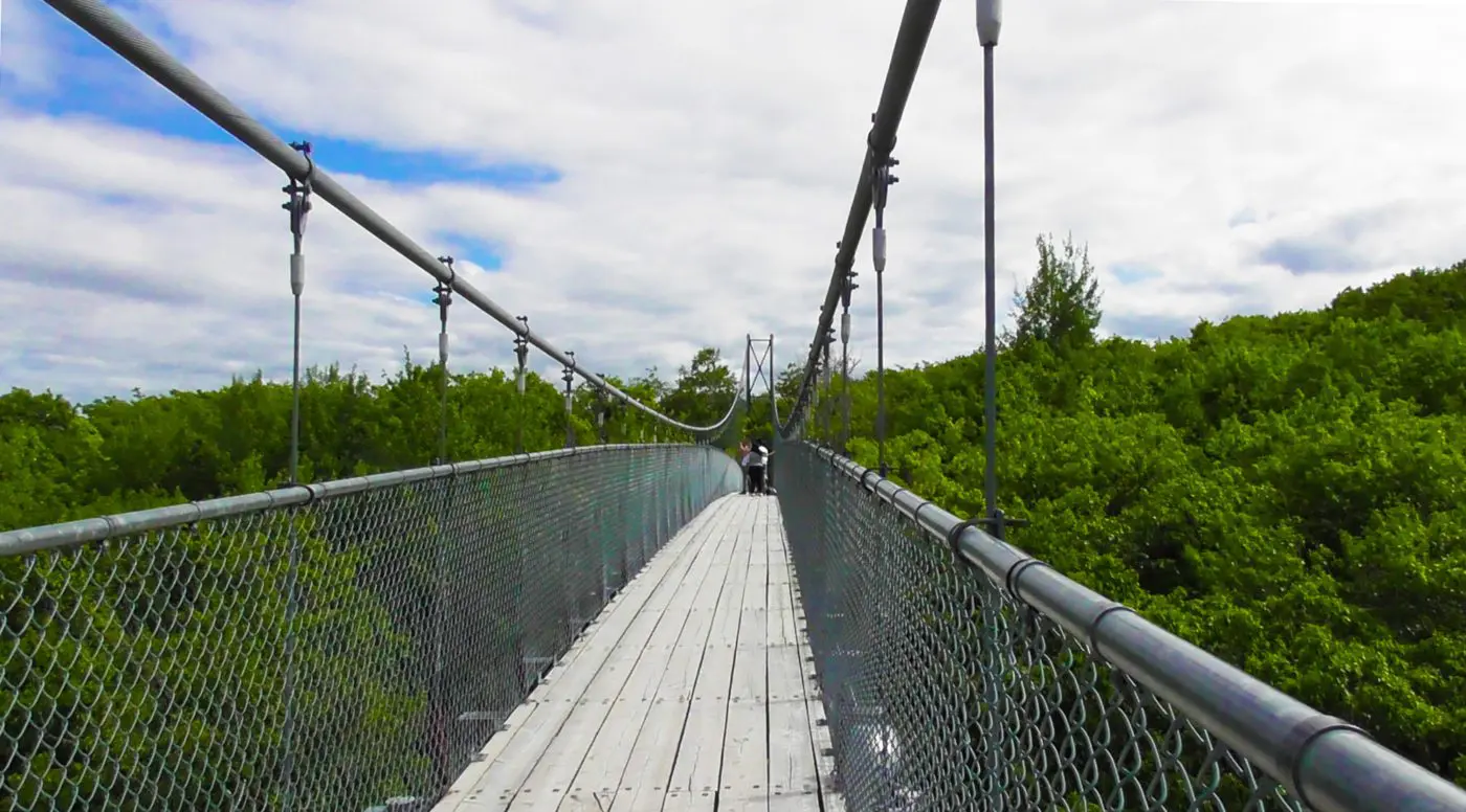 a view from the Blue Mountain Suspension Bridge | things to do in collingwood winter	