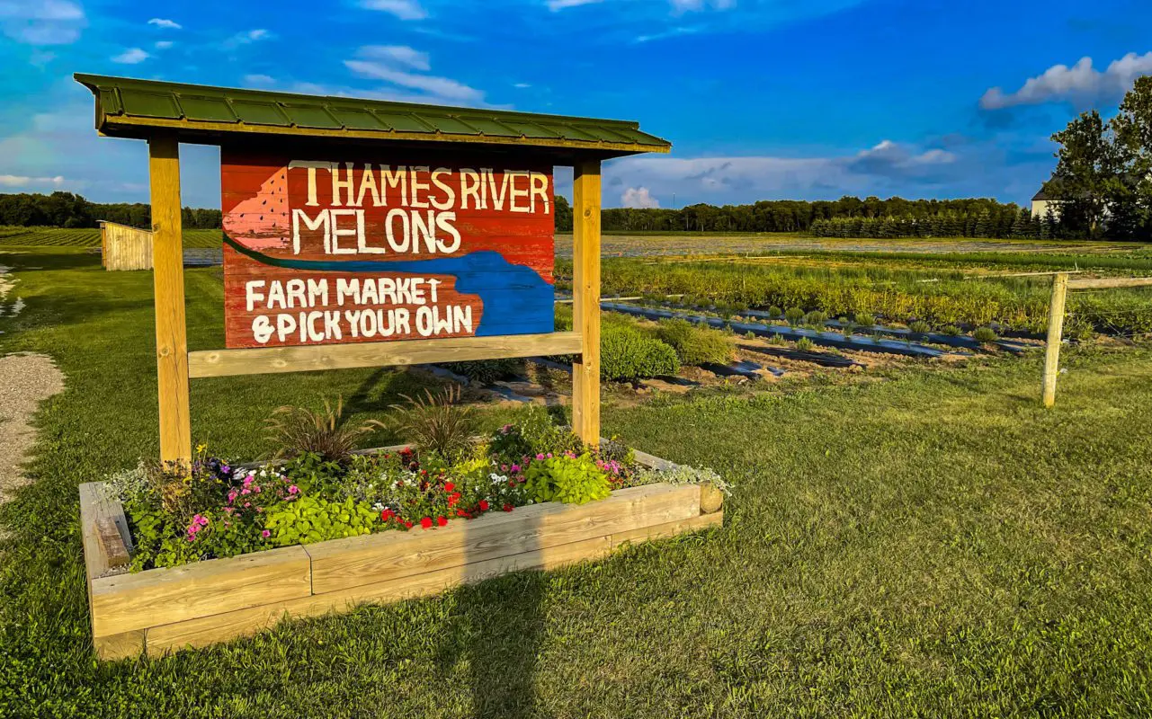 Thames River Melons sign | what to do in woodstock ontario