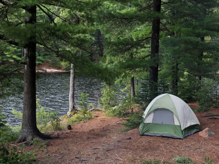 Huntsville Camping | Best Huntsville Campgrounds for an Epic Weekend Getaway