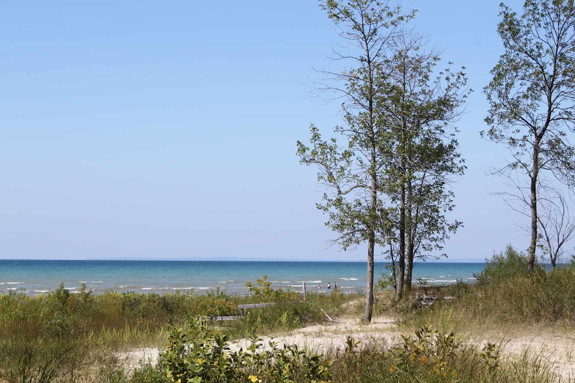 picture of a beach area with trees | day trip from toronto