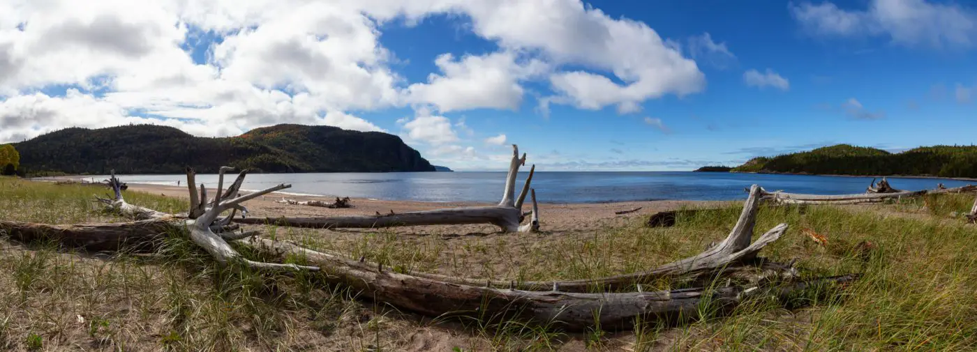 drift wood laying in grass by the beach | nice beaches in ontario