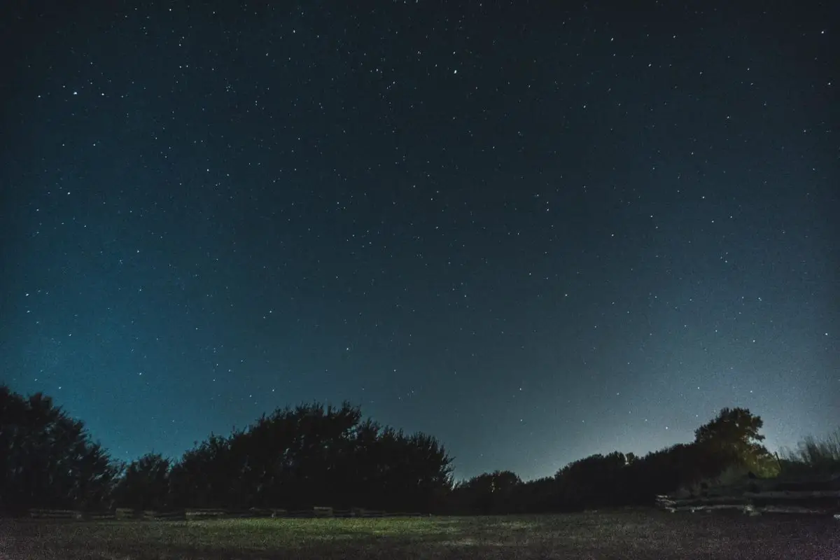view of a night sky filled with stars | napanee tourism