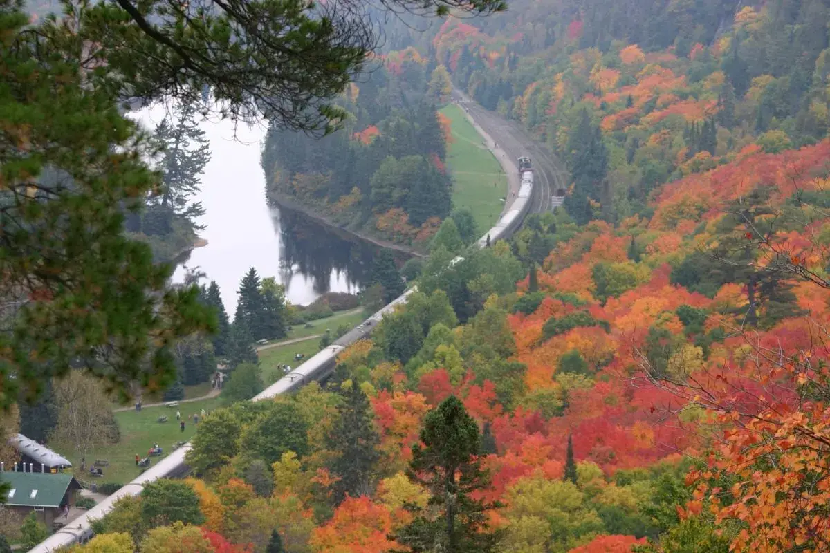 overview of a train passing through a wooded area | fall activities in ontario