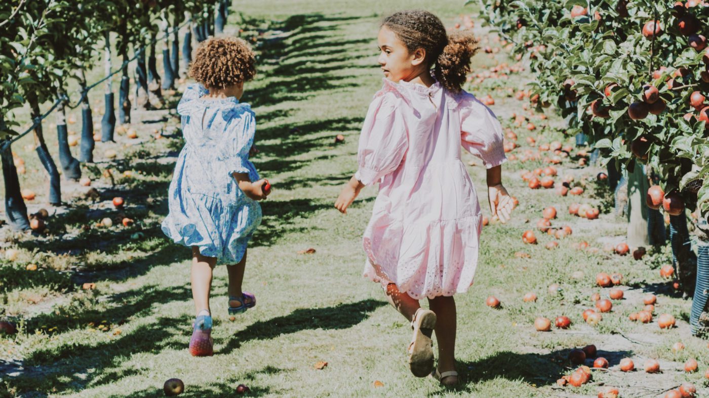 two children walking through an apple orchard | apple picking ontario