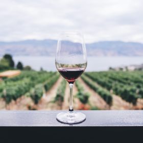 best wineries in prince edward county