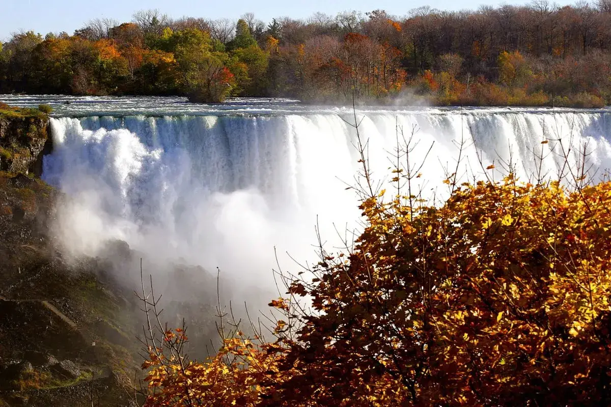 Niagara Falls waterfall surrounded by trees in fall colours | autumn in ontario