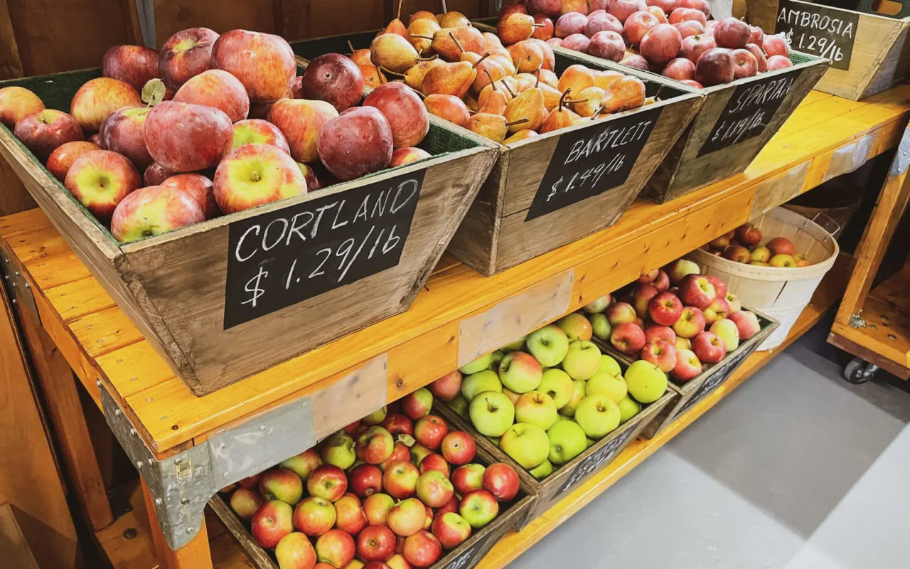 wooden bins of apples | apple picking ontario season