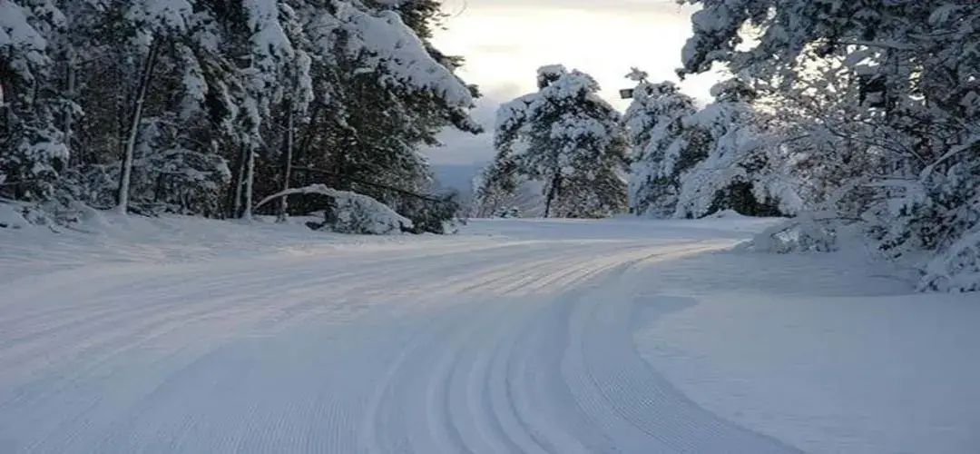 Hardwood-ski-resort