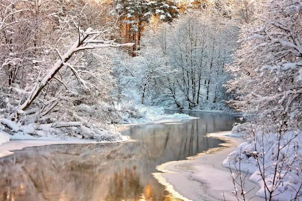 river surrounded by trees covered in snow | christmas markets in ontario