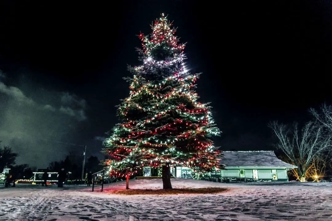 Christmas tree outside at night, illuminated with mutli-coloured lights | ontario christmas getaways