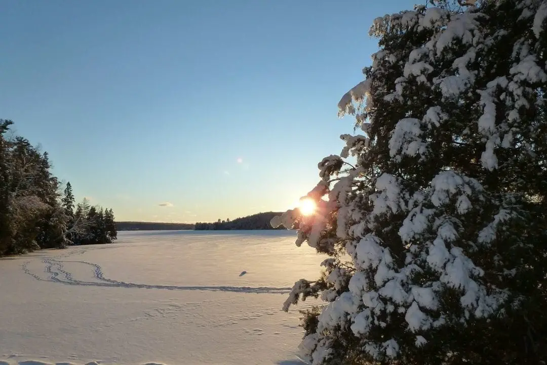 Open field surrounded by trees and covered with snow | christmas getaways
