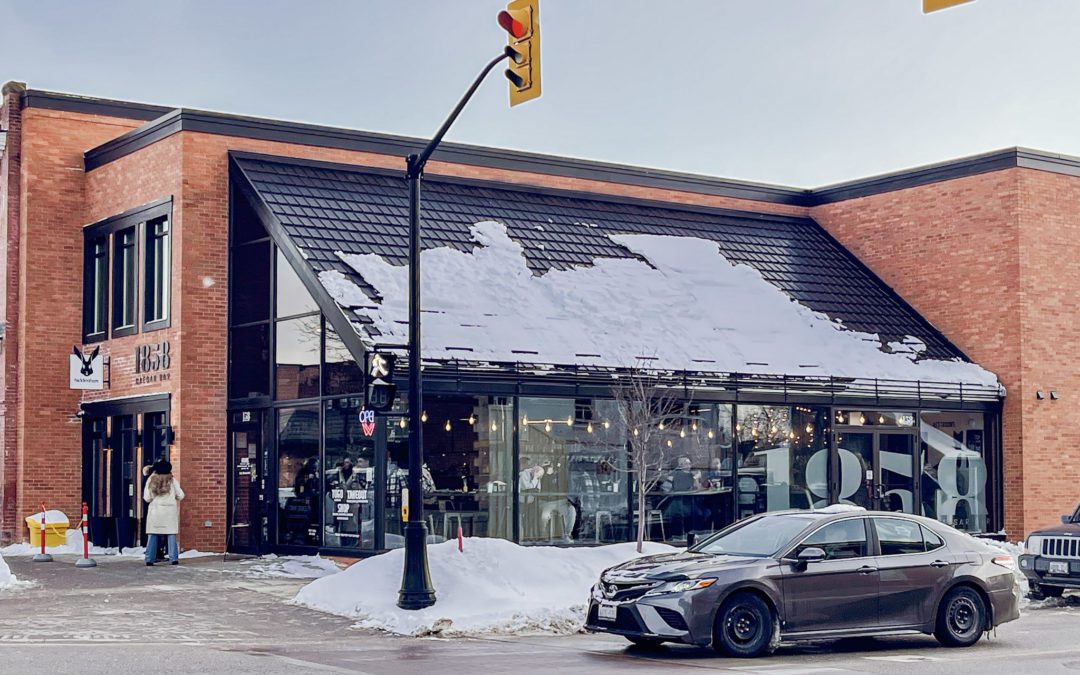 Fun Things To Do In Collingwood Ontario Blue Mountain & Collingwood Attractions Road Trip