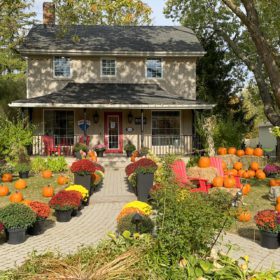 Things To Do In Kleinburg