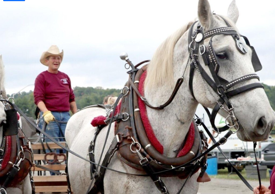 rd7BracebridgeFallFairandHorseShow